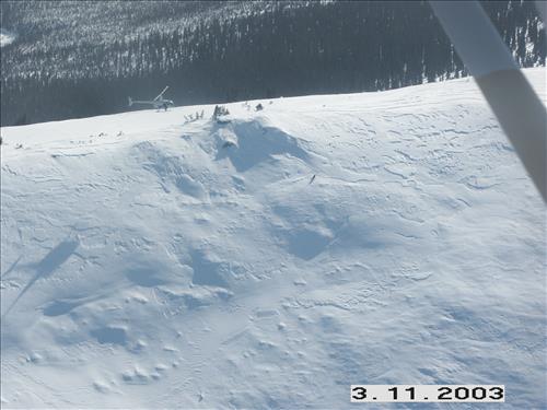 2 Yukon-Charley Rivers National Preserve Wolf Capture 2003