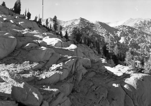 Looking N. in late afternoon