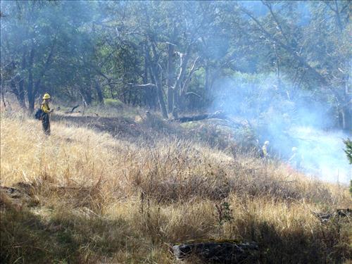 Prescribed Fire, Part 2