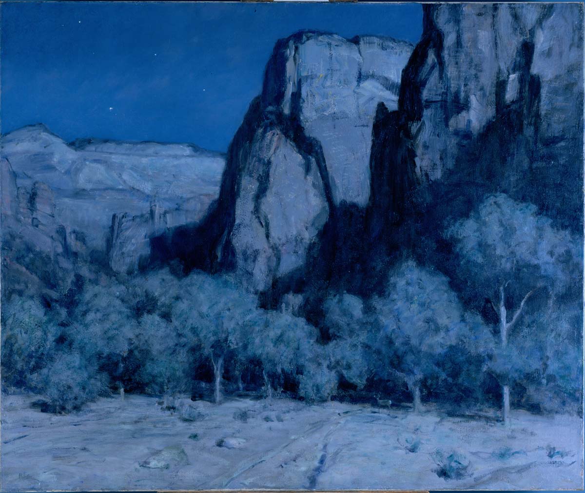 Midnight in Zion Canyon