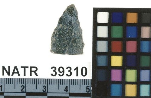 NATR   39310 -- Untyped projectile point