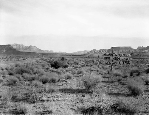 The Grandma's signs on Utah State Route 15 (now State Route 9), the black on yellow signs were at almost every turn from below Virgin, Utah to Zion National Park. These photos were taken as documentation to the proposed clean up project to remove undesirable signs and debris on the route to Zion. This is a view from west of the town of Virgin, Utah looking north, West Temple in the distance (left) and Rockville Mountain (right).