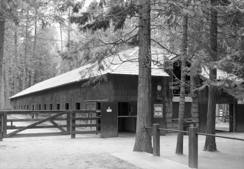 Yosemite Park and Curry Co. Stables. See Seps. RL - 979.447 Y-16c #31.