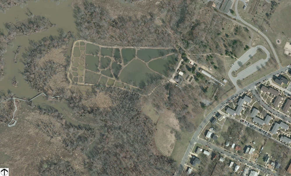 An aerial view shows the mosaic of ponds, surrounded by marsh and residential development.
