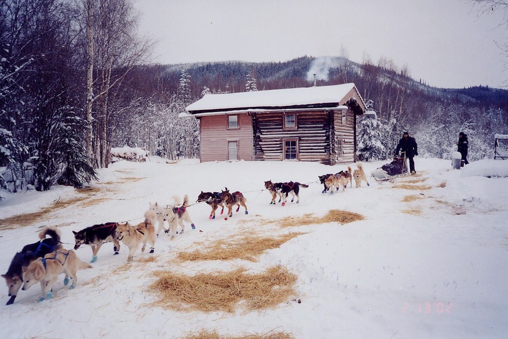 A musher departs Slaven's Roadhouse in the Yukon Quest International Sled Dog Race after having his dogs checked by veterinarian.