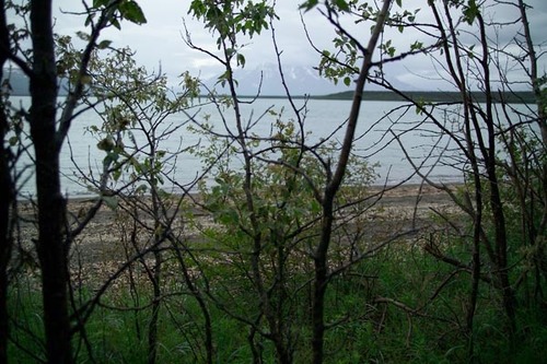 Mount Katolinat as seen from the Brooks Camp Campground