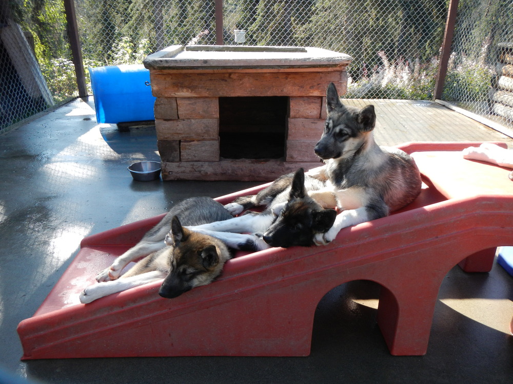 Denali NPP Headquarters Historic District, Alaska