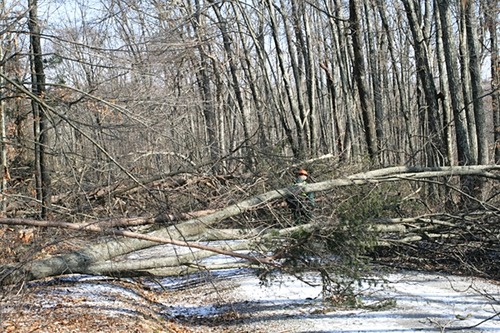 Mammoth Cave NP Ranger John Ashcraft assessed damage on Houchins Ferry Road North after the January 2009 ice storm.