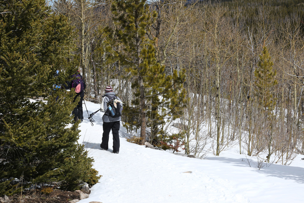 Snowshoeing in Rocky Mountain National Park 