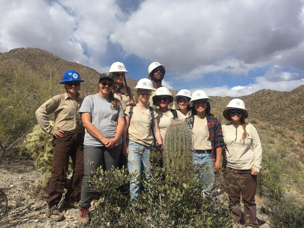 ACE crew members survey saguaros