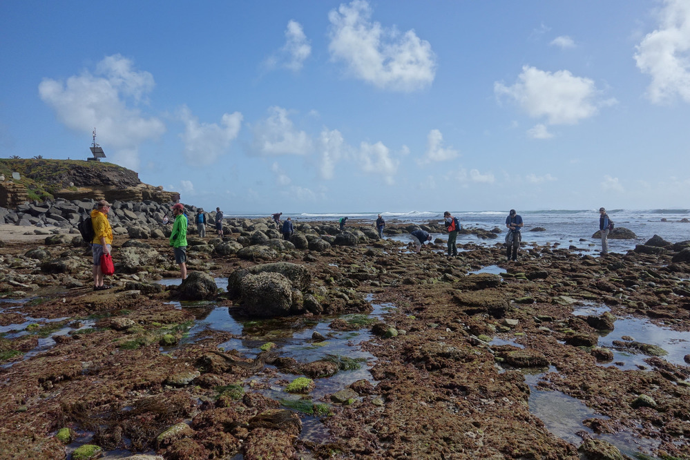 2016 National Parks BioBlitz at Cabrillo National Monument