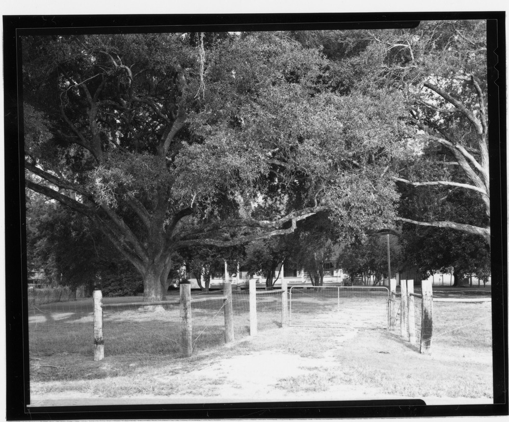 W view of Doctor's cottage.