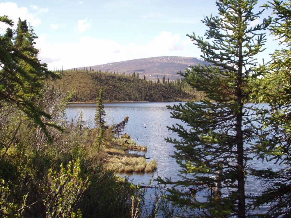Twin Lakes camping area
