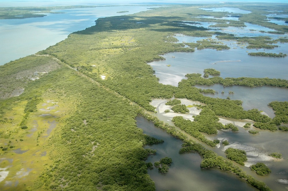 Siltation can be seen along the edges of the Homestead Canal as it joins Lake Ingraham. In the distance, the shorter "J Canal" can be seen running perpendicular to the Homestead Canal.