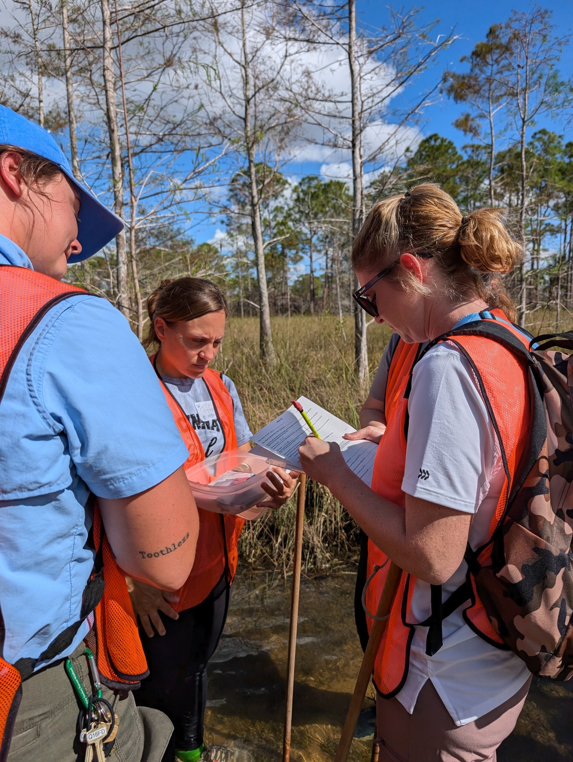 Students complete their SWAMP activity book