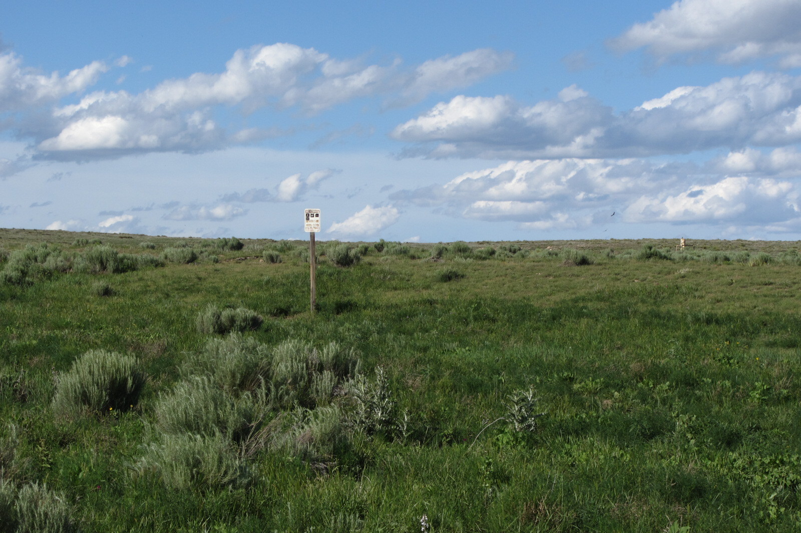 A wooden post with a sign stands in the middle of a vast, grassy plain under a cloudy sky.