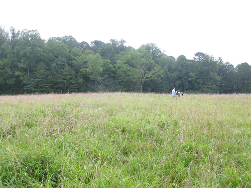 GRSM Accuracy Assessment. Plot Code: GRSM_AA_0863_3