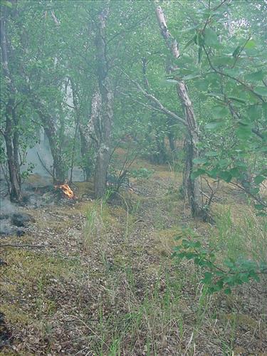 Bay of Island Fire, Naknek Lake, Katmai National Park, July 2001