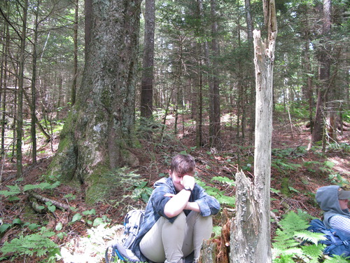 GRSM Accuracy Assessment. Plot Code: GRSM_AA_0113_2