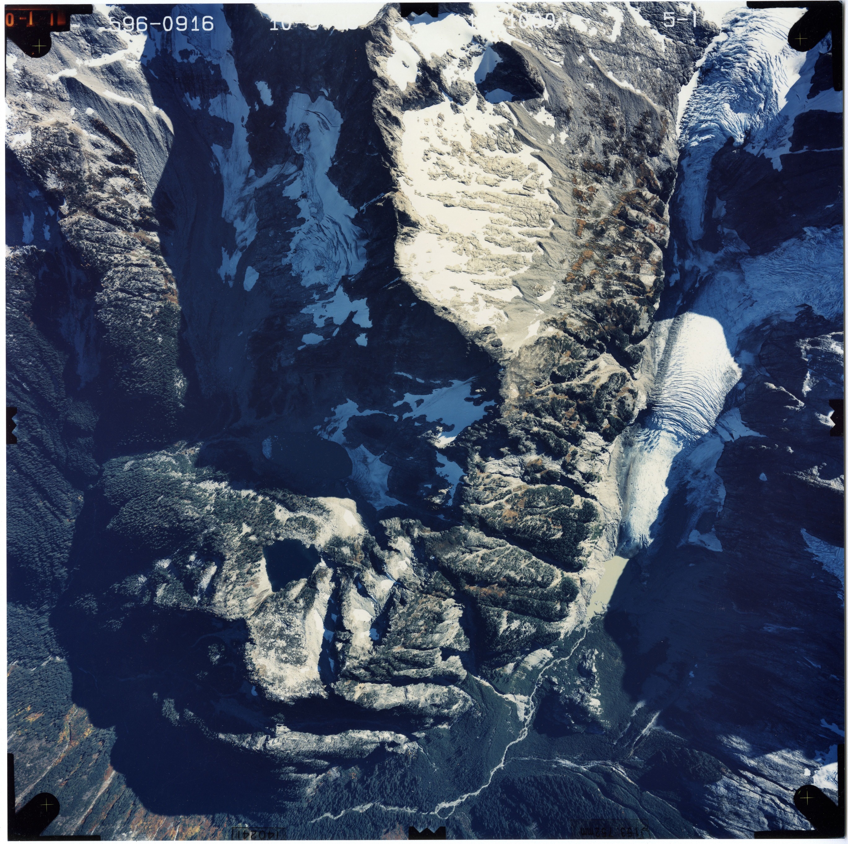 Color aerial photograph of glacier and snowfields on mountain peak, surrounded by forested valleys.