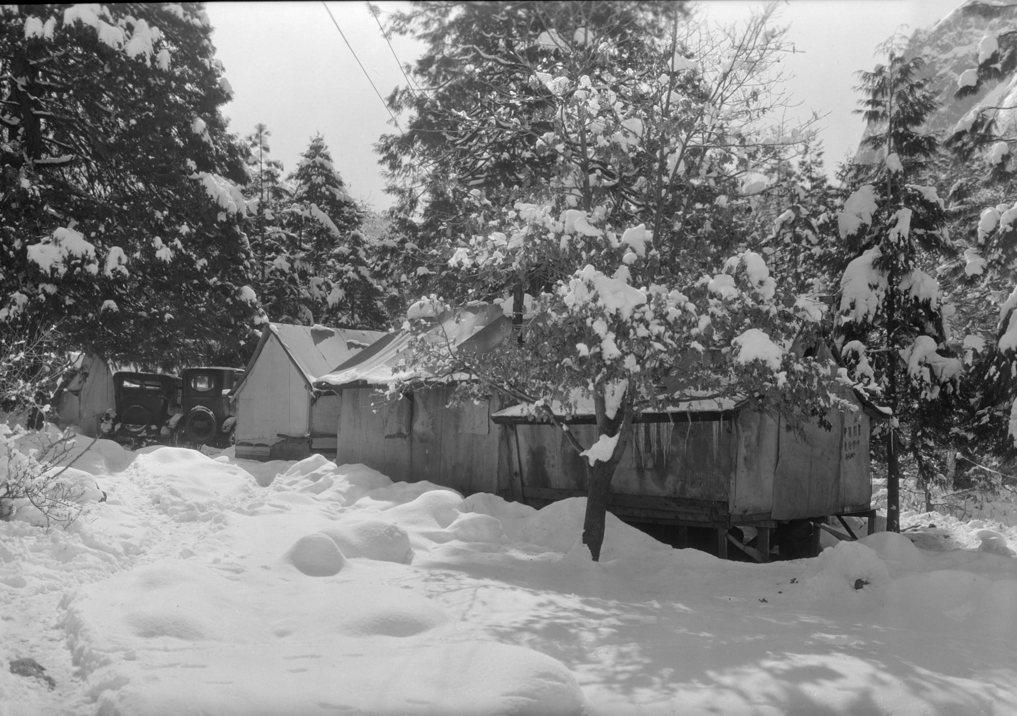 Yosemite Native American Village. c. 1915-1925. Present site of Lewis Memorial Hospital.