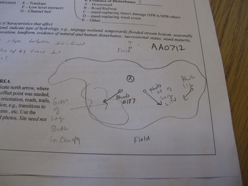 GRSM Accuracy Assessment. Plot Code: GRSM_AA_0712_7