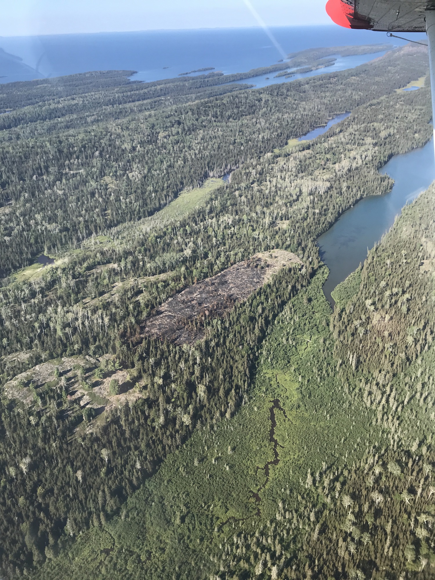 An aerial view shows a small burned area in a forest surrounded by Lake Superior.