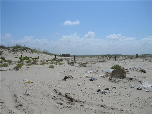 tidal flat disturbance PAIS
