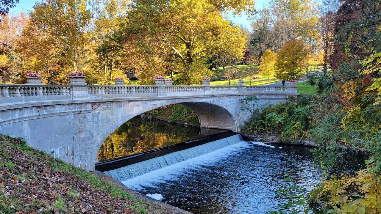 An arched bridge, a creek underneath, and autumn trees around.