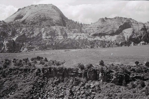 BW photo of the 1937 grazing study 35MM. Photo of large cleared area in southern Lee Valley.