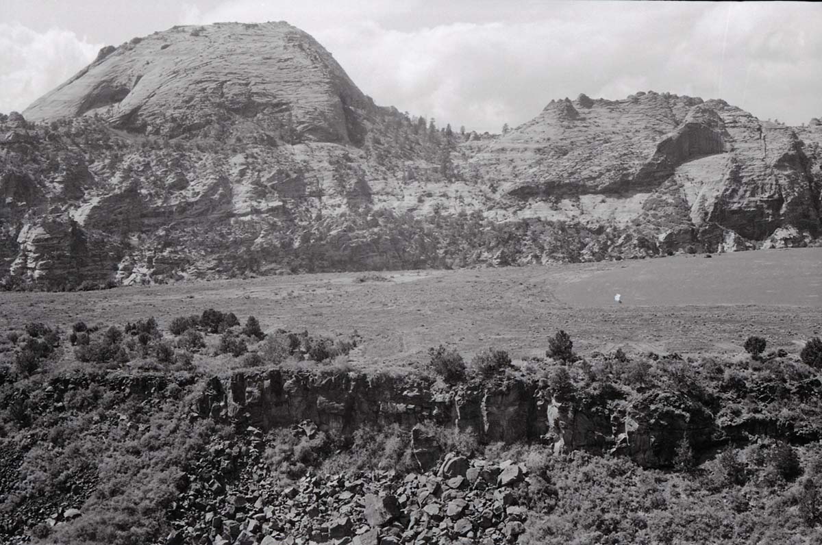 BW photo of the 1937 grazing study 35MM. Photo of large cleared area in southern Lee Valley.
