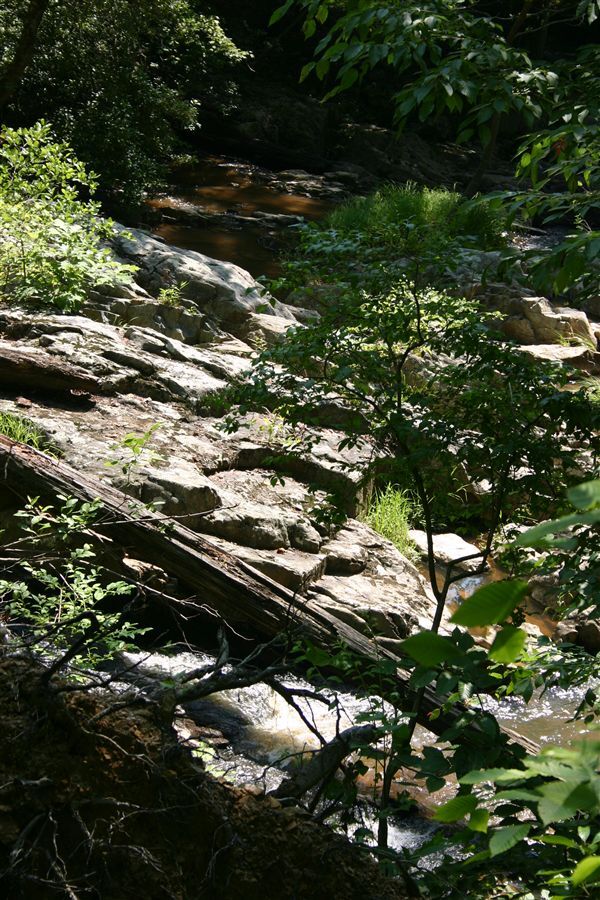 Large rocks in the river surrounded by trees with green leaves.