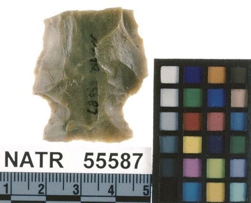 NATR   55587 -- Untyped projectile point
