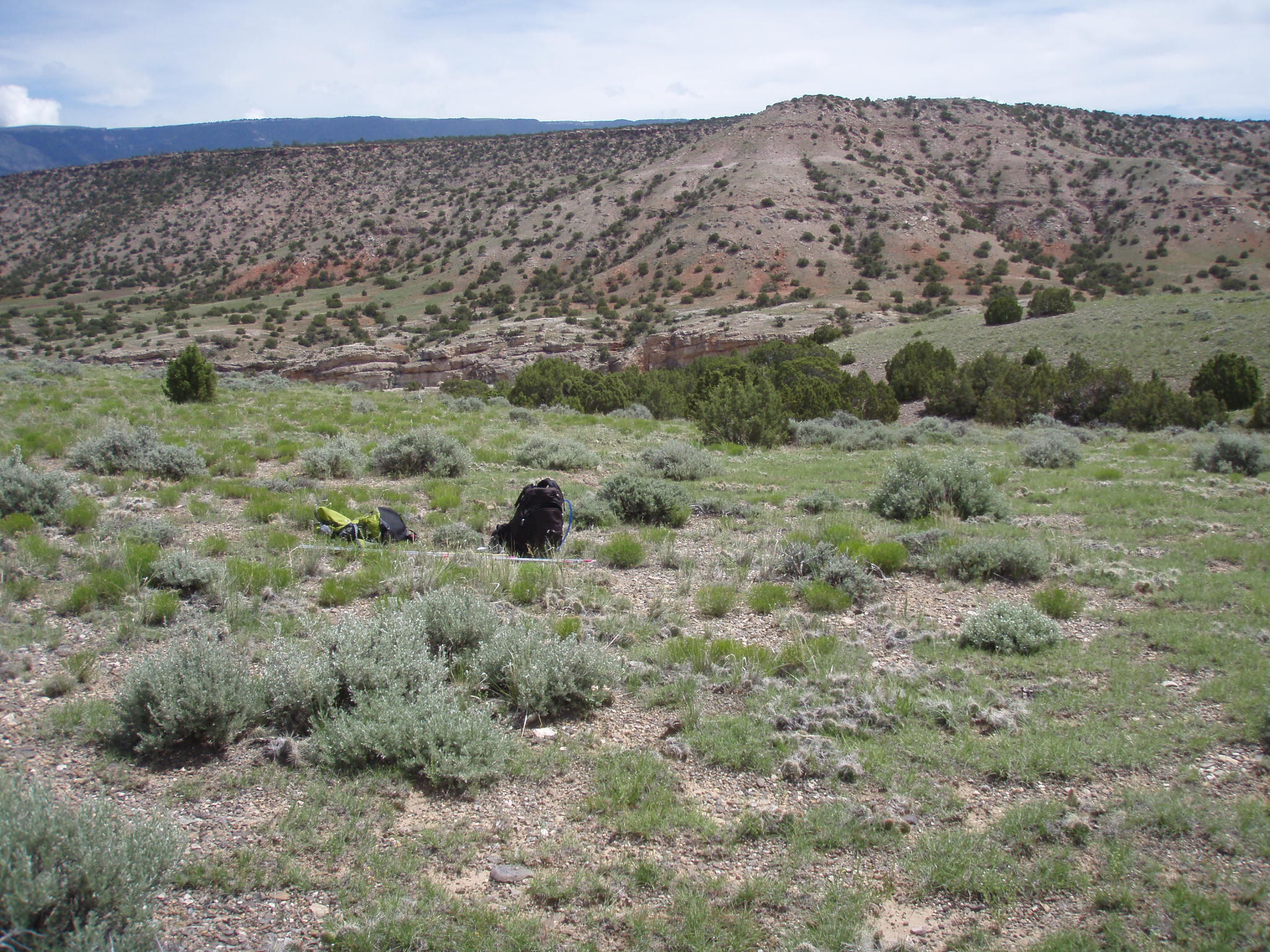 Image of the vegetation and landscape at photo point in Bighorn Canyon NRA 