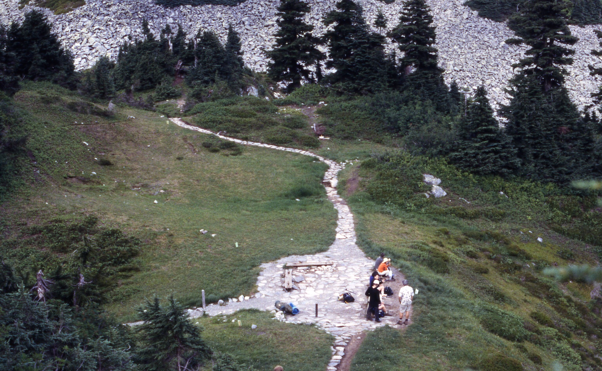 A meadow with a rest area paved with stones, surrounded by trees, shrubs, and wildflowers. Visitors are in the rest area. In the background is a rocky mountain slope.