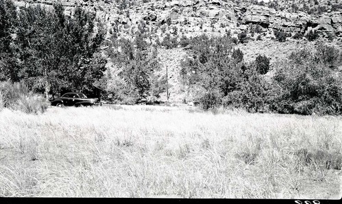 East rim trail construction.