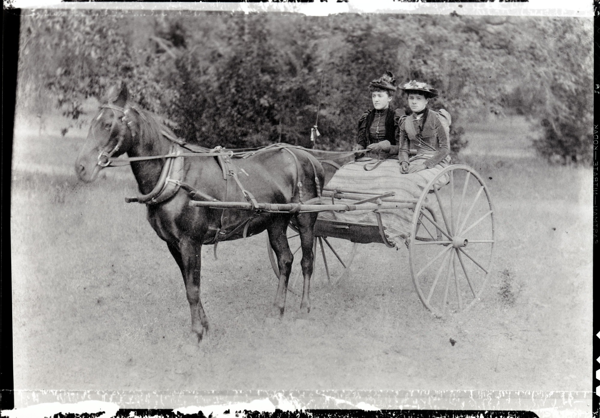Early day tourists in Yosemite. Copied by DC in 1935. From collection of Chas. Adair.