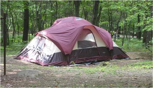 Typical images in Peaks of Otter Campground