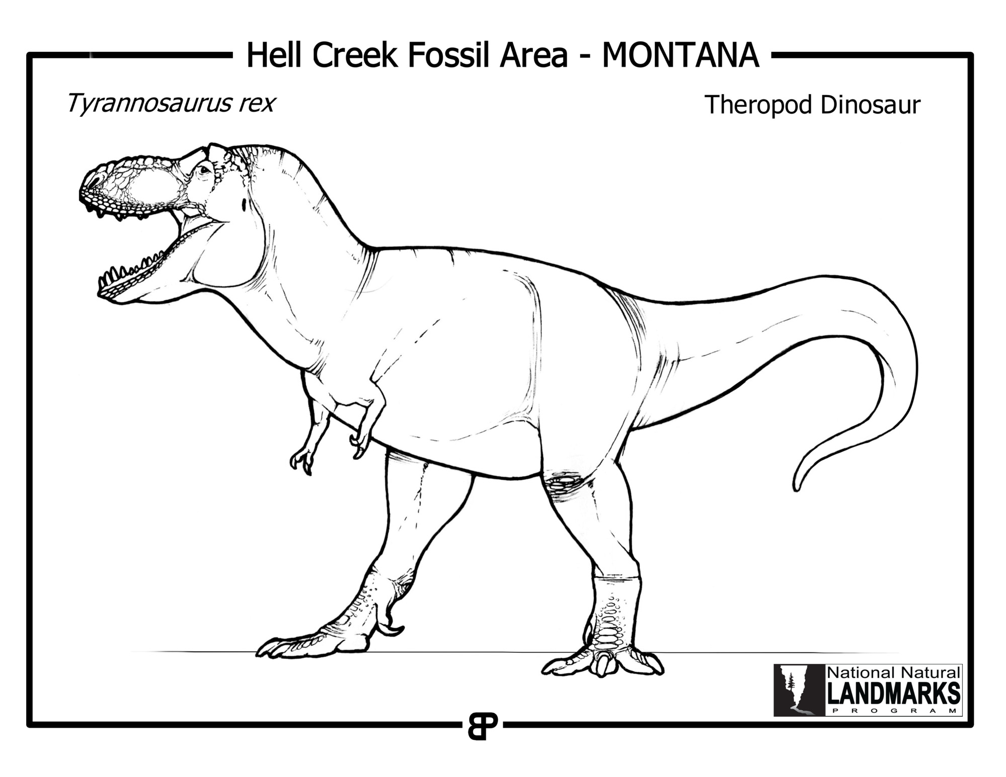 black and white drawing of a large toothy dinosaur standing on 2 feet.