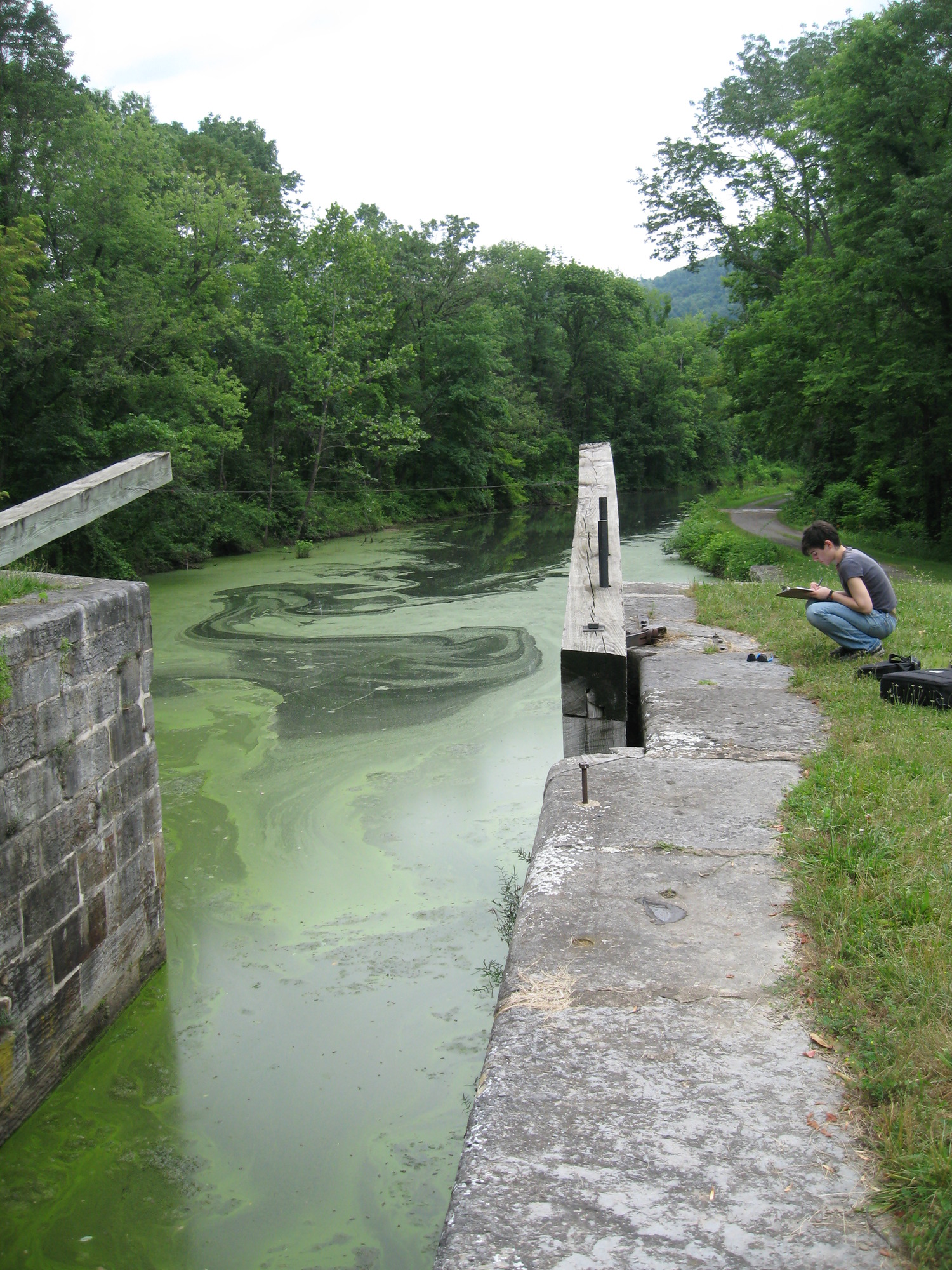 a young woman takes notes while crouching by a canal filled with water and algae.