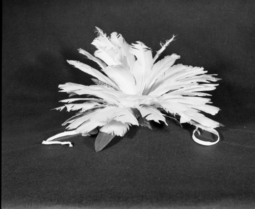 Marie Rozier Collection, Catalog No. 218. Object: Maidu-style feathered topknot. Dimensions: 20" diameter. Materials: willow shoot, commercial tanned hide, red yarn, cotton string, turkey, bittern and peacock feathers. Collection History: Made by Craig Bates while learning the skill from Henry Azibill, Northwestern Maidu, 1969. Photographed by Michael Dixon in December 1982. Catalogued by Craig Bates and Barbara Beroza. Yosemite Collections, National Park Service.