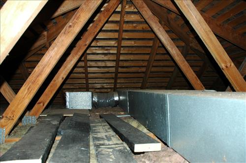 KEAQ-Existing Conditions at Kenilworth Aquatic Gardens, December 10, 2009