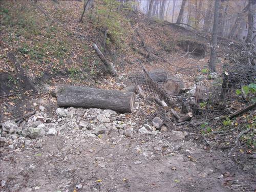 Boundary Fence Pictures 2015