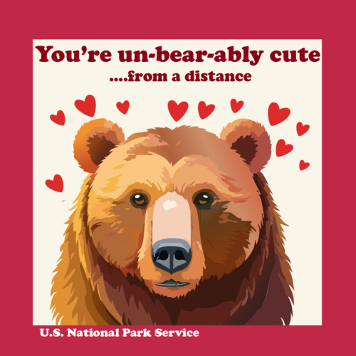 Digital valentine reading "You're unbearably cute...from a distance" over an illustration of a bear projecting hearts