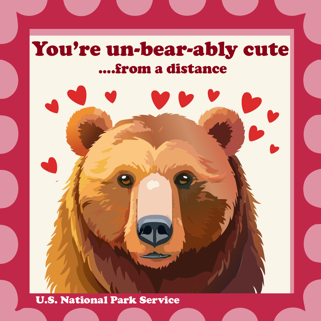 Digital valentine reading "You're unbearably cute...from a distance" over an illustration of a bear projecting hearts