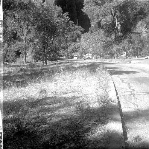 Road leading to parking area near the Grotto.