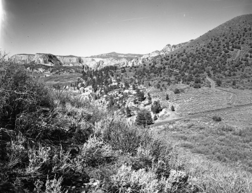 View north from Spendlove Knoll, Kolob Terrace area. 1 of 10 images taken for congressional wilderness hearings.