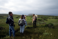 Ranger-led Hike on San Miguel Island