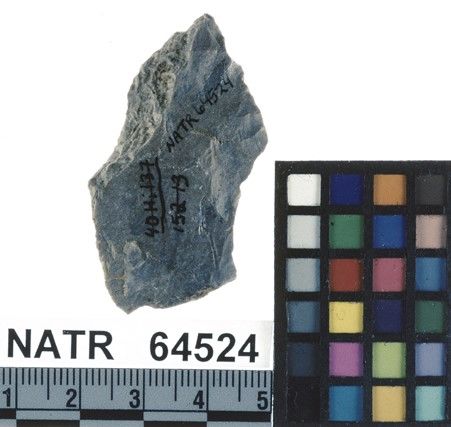 NATR   64524 -- Untyped projectile point