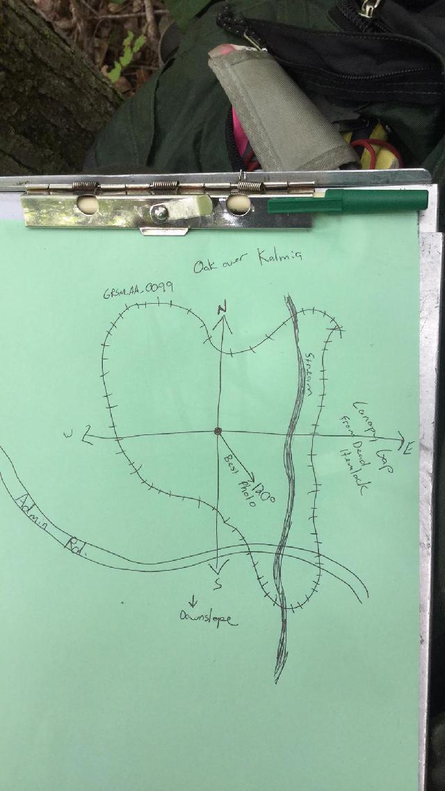 GRSM Accuracy Assessment. Plot Code: GRSM_AA_0099_map